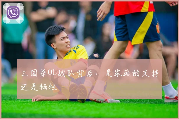 三国杀OL战队背后,是家庭的支持还是牺牲
