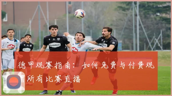 德甲观赛指南:如何免费与付费观看所有比赛直播