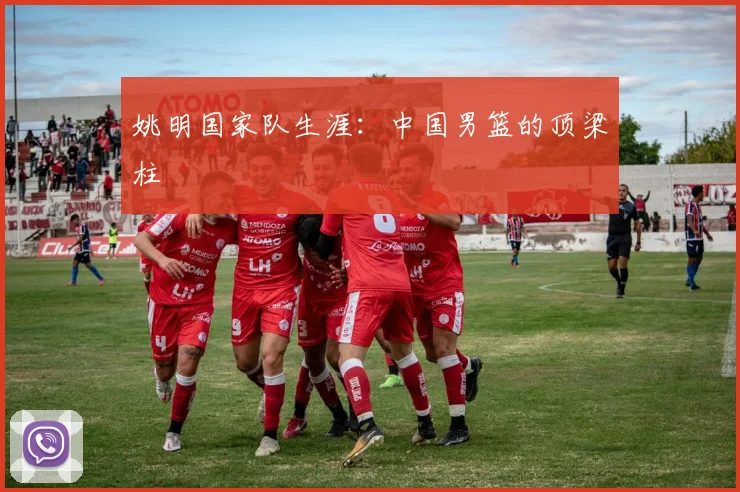 姚明国家队生涯：中国男篮的顶梁柱
