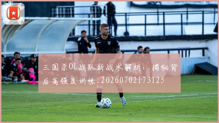 三国杀OL战队新战术解析,揭秘背后高强度训练_20260702173125