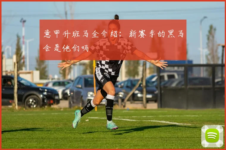 意甲升班马全介绍：新赛季的黑马会是他们吗