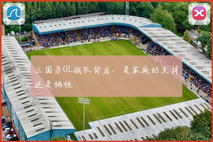 三国杀OL战队背后，是家庭的支持还是牺牲